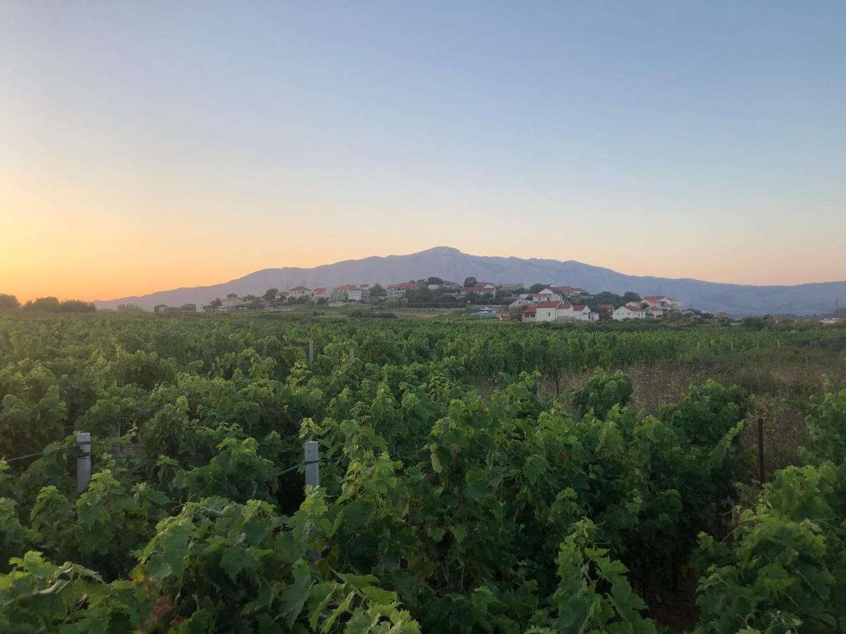 Adrian'S Apartments & Winery Lumbarda Luaran gambar