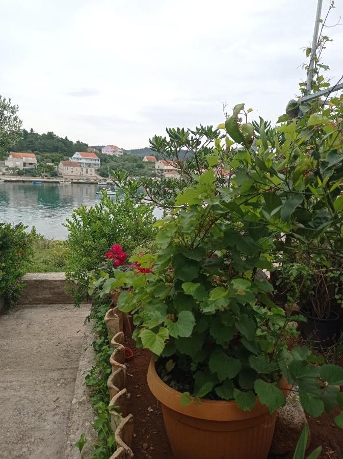 Adrian'S Apartments & Winery Lumbarda Luaran gambar