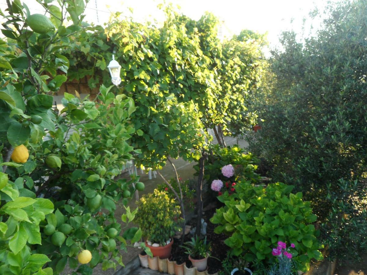 Adrian'S Apartments & Winery Lumbarda Luaran gambar