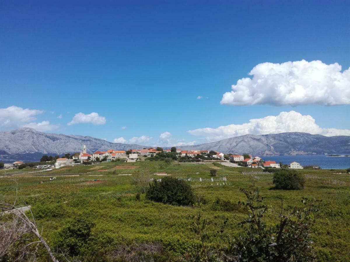 Adrian'S Apartments & Winery Lumbarda Luaran gambar