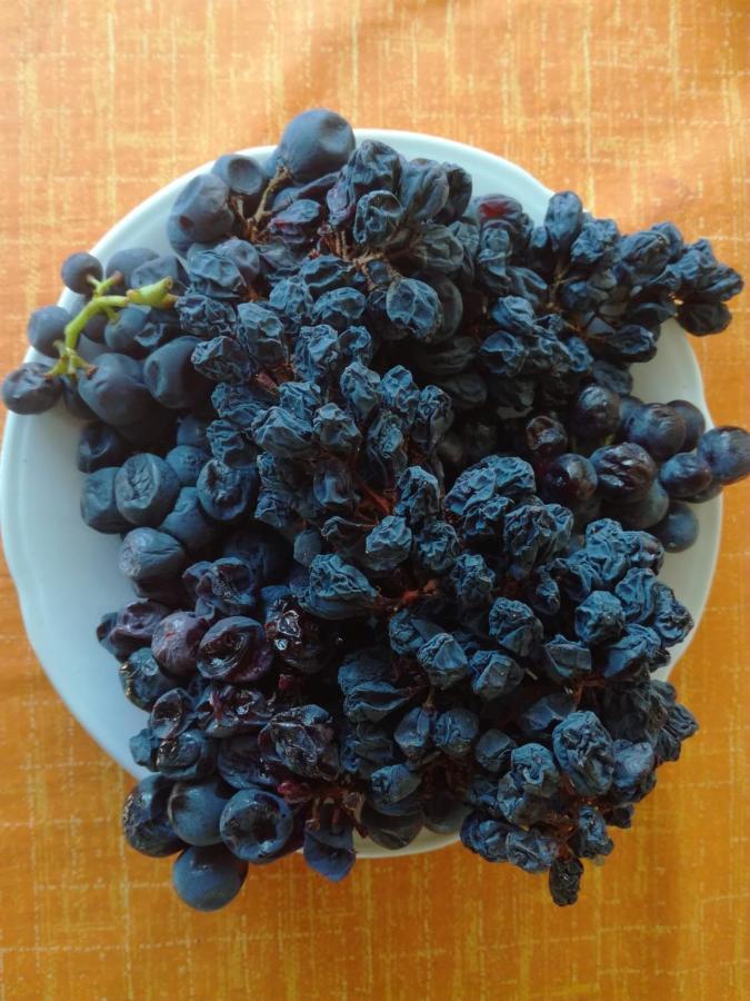 Adrian'S Apartments & Winery Lumbarda Luaran gambar
